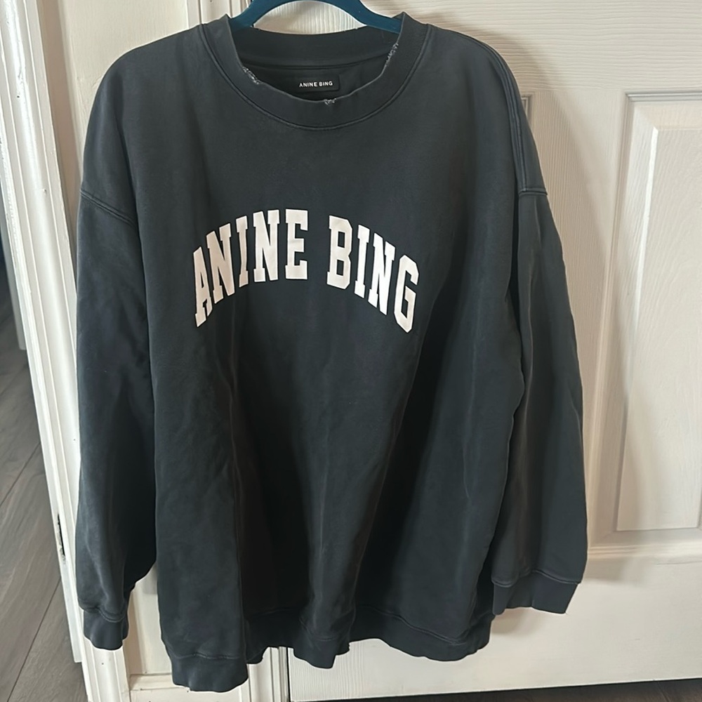 Anine bing Tyler sweatshirt - Picture 1 of 6